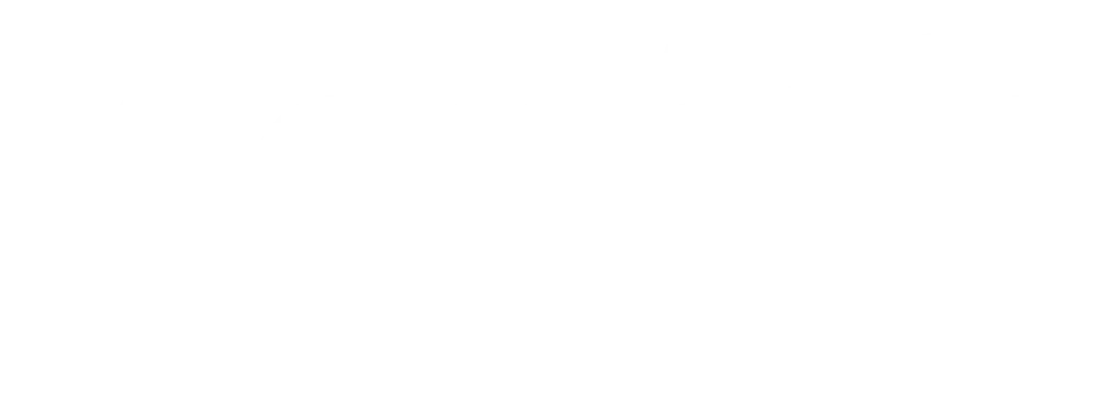 Vision 20